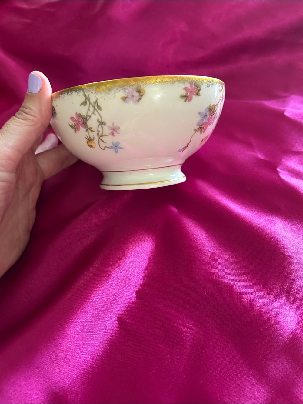 Limoges Open Sugar Bowl. Violets Pompadour